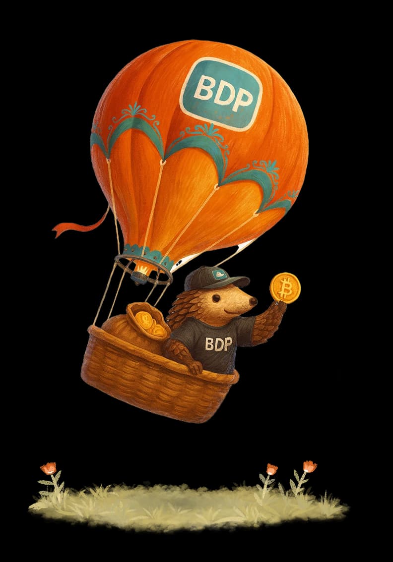 Hot Air Balloon